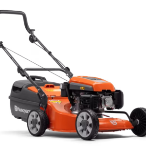 lc 419a