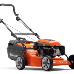 lc 219p