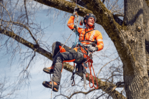 Climbing rope, 11.8 mm